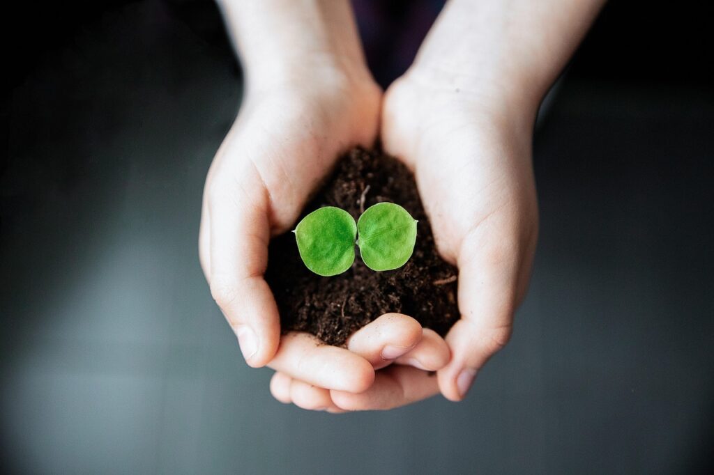 seedling, new life, plant, hands, growth, life, soil, nature, help, love, seedling, seedling, seedling, seedling, seedling, soil, soil-7472384.jpg